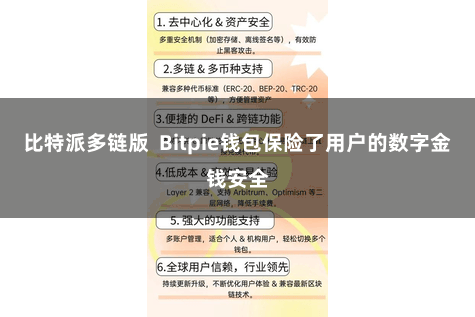 比特派多链版 Bitpie钱包保险了用户的数字金钱安全