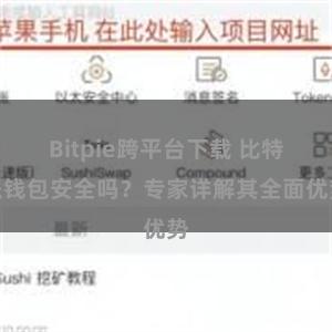 Bitpie跨平台下载 比特派钱包安全吗？专家详解其全面优势