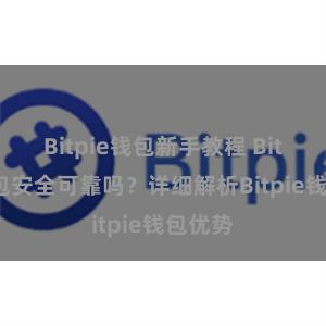 Bitpie钱包新手教程 Bitpie钱包安全可靠吗？详细解析Bitpie钱包优势