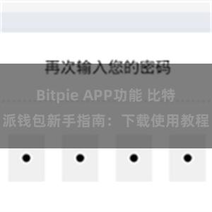 Bitpie APP功能 比特派钱包新手指南：下载使用教程