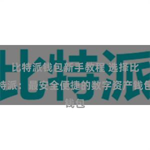 比特派钱包新手教程 选择比特派：最安全便捷的数字资产钱包