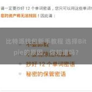 比特派钱包新手教程 选择Bitpie的原因，你知道吗？