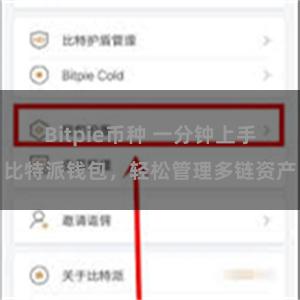 Bitpie币种 一分钟上手比特派钱包，轻松管理多链资产