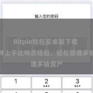 Bitpie钱包安卓版下载 一分钟上手比特派钱包，轻松管理多链资产