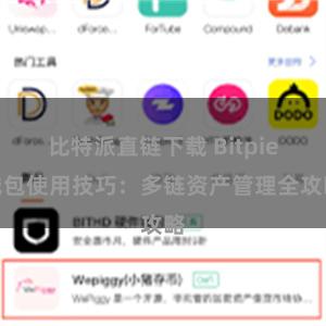 比特派直链下载 Bitpie钱包使用技巧：多链资产管理全攻略