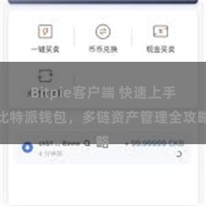 Bitpie客户端 快速上手比特派钱包，多链资产管理全攻略