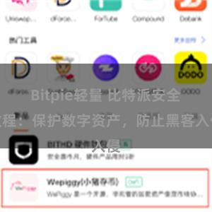 Bitpie轻量 比特派安全教程：保护数字资产，防止黑客入侵