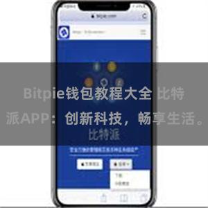 Bitpie钱包教程大全 比特派APP：创新科技，畅享生活。