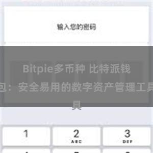 Bitpie多币种 比特派钱包：安全易用的数字资产管理工具