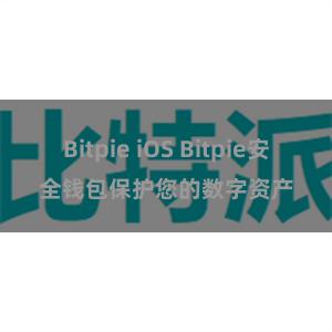 Bitpie iOS Bitpie安全钱包保护您的数字资产
