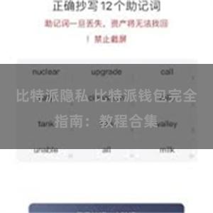 比特派隐私 比特派钱包完全指南：教程合集