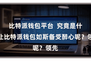 比特派钱包平台  究竟是什么让比特派钱包如斯备受醉心呢？领先