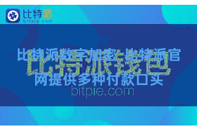 比特派数字加密  比特派官网提供多种付款口头