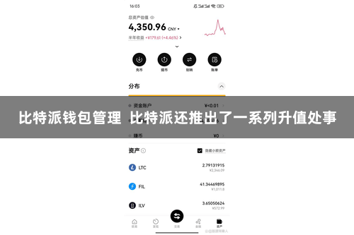 比特派钱包管理  比特派还推出了一系列升值处事