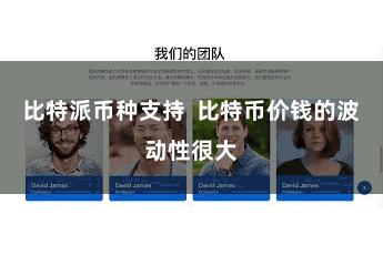 比特派币种支持  比特币价钱的波动性很大