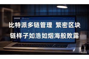 比特派多链管理  繁密区块链样子如浩如烟海般败露