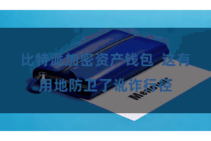 比特派加密资产钱包  这有用地防卫了讹诈行径