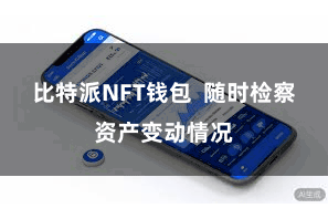 比特派NFT钱包  随时检察资产变动情况