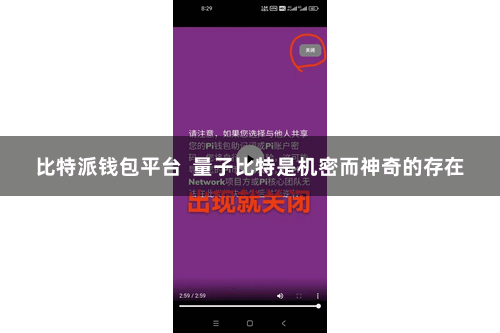 比特派钱包平台  量子比特是机密而神奇的存在